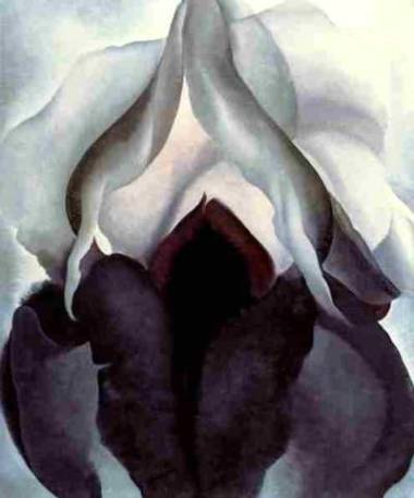 black_iris_III-1926.jpg