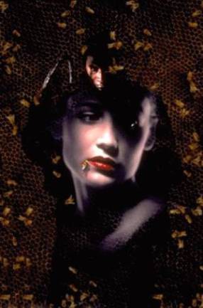 candyman_2_c.jpg