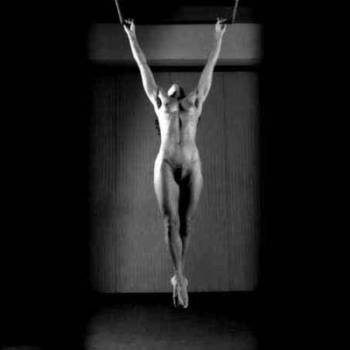 physis_01.jpg