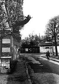 yvesklein.jpg